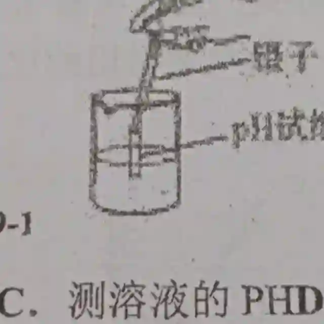 quizSolver电报做题家